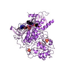 Example Structure of 3-hydroxybenzoate 4-monooxygenase EC#: 1.14.13.23