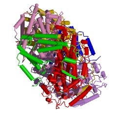 Example Structure of methane monooxygenase (soluble) EC#: 1.14.13.25
