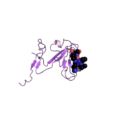 Example Structure of nitric-oxide synthase (NADPH) EC#: 1.14.13.39