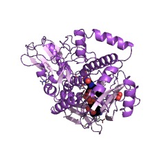 Example Structure of pentachlorophenol monooxygenase EC#: 1.14.13.50