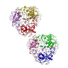 Example Structure of 2-hydroxyquinoline 8-monooxygenase EC#: 1.14.13.61
