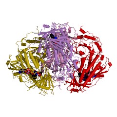 Example Structure of phenol 2-monooxygenase (NADPH) EC#: 1.14.13.7