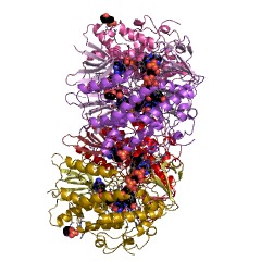 Example Structure of flavin-containing monooxygenase EC#: 1.14.13.8