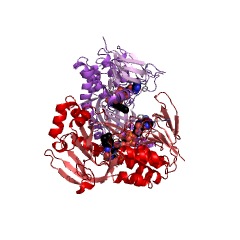 Example Structure of kynurenine 3-monooxygenase EC#: 1.14.13.9