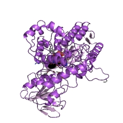 Example Structure of phenylacetone monooxygenase EC#: 1.14.13.92