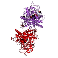 Example Structure of unspecific monooxygenase EC#: 1.14.14.1