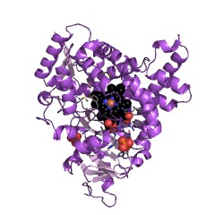Example Structure of aromatase EC#: 1.14.14.14