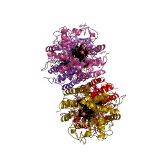 Example Structure of steroid 21-monooxygenase EC#: 1.14.14.16