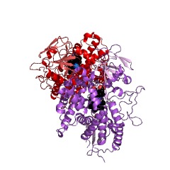 Example Structure of cholesterol 7alpha-monooxygenase EC#: 1.14.14.23