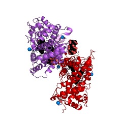 Example Structure of vitamin D 25-hydroxylase EC#: 1.14.14.24