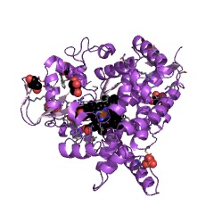 Example Structure of cholesterol 24-hydroxylase EC#: 1.14.14.25