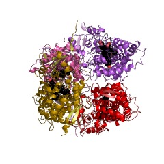 Example Structure of 17alpha-hydroxyprogesterone deacetylase EC#: 1.14.14.32