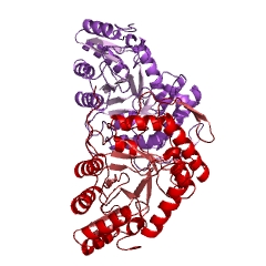 Example Structure of alkanesulfonate monooxygenase EC#: 1.14.14.5