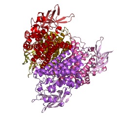 Example Structure of 4-hydroxyphenylacetate 3-monooxygenase EC#: 1.14.14.9