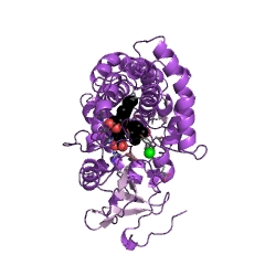 Example Structure of camphor 5-monooxygenase EC#: 1.14.15.1