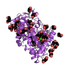 Example Structure of pentalenic acid synthase EC#: 1.14.15.11