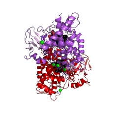 Example Structure of pulcherriminic acid synthase EC#: 1.14.15.13
