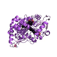 Example Structure of methyl-branched lipid omega-hydroxylase EC#: 1.14.15.14
