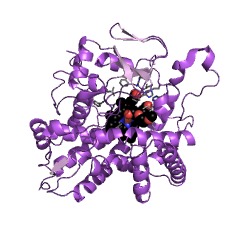 Example Structure of cholestanetriol 26-monooxygenase EC#: 1.14.15.15