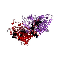 Example Structure of vitamin D3 24-hydroxylase EC#: 1.14.15.16