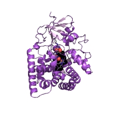 Example Structure of vitamin D 1,25-hydroxylase EC#: 1.14.15.22