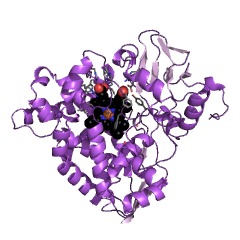 Example Structure of alkane 1-monooxygenase EC#: 1.14.15.3
