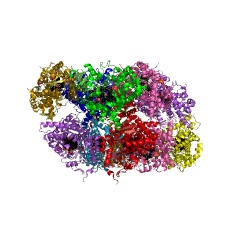 Example Structure of corticosterone 18-monooxygenase EC#: 1.14.15.5