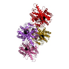Example Structure of cholesterol monooxygenase (side-chain-cleaving) EC#: 1.14.15.6