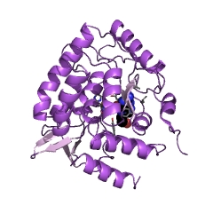 Example Structure of tryptophan 5-monooxygenase EC#: 1.14.16.4