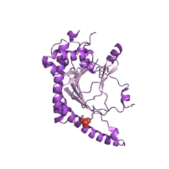 Example Structure of aminocyclopropanecarboxylate oxidase EC#: 1.14.17.4