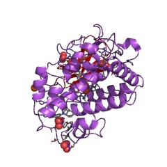Example Structure of tyrosinase EC#: 1.14.18.1
