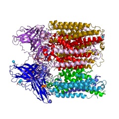 Example Structure of methane monooxygenase (particulate) EC#: 1.14.18.3