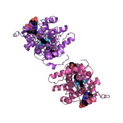 Example Structure of stearoyl-CoA 9-desaturase EC#: 1.14.19.1