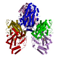 Example Structure of stearoyl-[acyl-carrier-protein] 9-desaturase EC#: 1.14.19.2