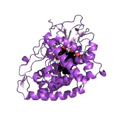 Example Structure of pentalenolactone synthase EC#: 1.14.19.8