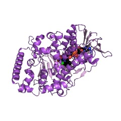 Example Structure of tryptophan 7-halogenase EC#: 1.14.19.9