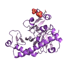 Example Structure of deacetoxycephalosporin-C synthase EC#: 1.14.20.1