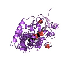 Example Structure of mycocyclosin synthase EC#: 1.14.21.9