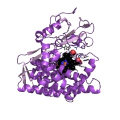 Example Structure of 4-methoxybenzoate monooxygenase (O-demethylating) EC#: 1.14.99.15