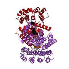 Example Structure of deoxyhypusine monooxygenase EC#: 1.14.99.29