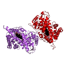 Example Structure of cholesterol 25-hydroxylase EC#: 1.14.99.38