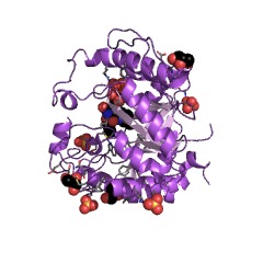 Example Structure of pyrimidine oxygenase EC#: 1.14.99.46