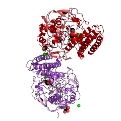 Example Structure of gamma-glutamyl hercynylcysteine S-oxide synthase EC#: 1.14.99.50