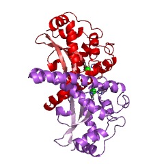 Example Structure of superoxide dismutase EC#: 1.15.1.1