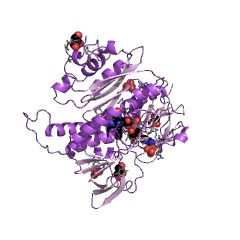 Example Structure of mercury(II) reductase EC#: 1.16.1.1
