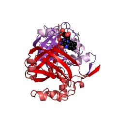 Example Structure of ferric-chelate reductase [NAD(P)H] EC#: 1.16.1.10