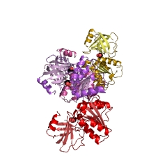 Example Structure of aquacobalamin reductase EC#: 1.16.1.3