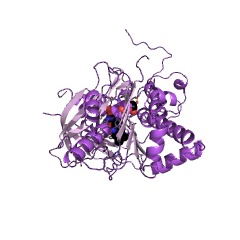 Example Structure of [methionine synthase] reductase EC#: 1.16.1.8