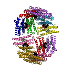 Example Structure of ferroxidase EC#: 1.16.3.1