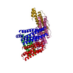 Example Structure of bacterial non-heme ferritin EC#: 1.16.3.2